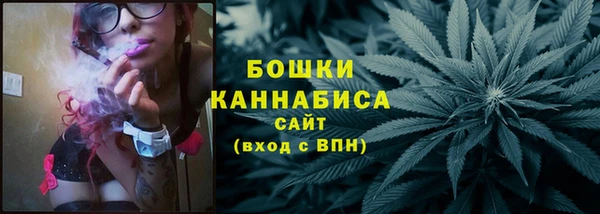 индика Баксан