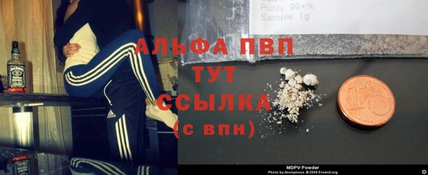 индика Баксан