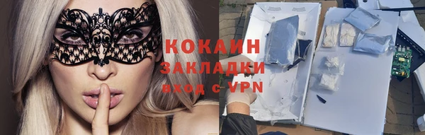 индика Баксан
