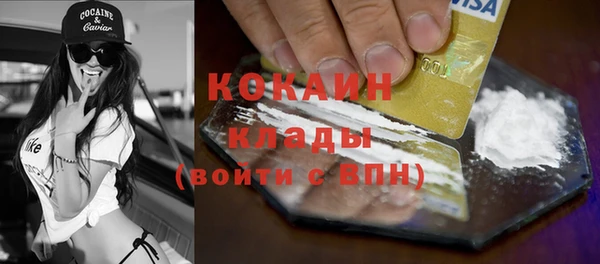 индика Баксан