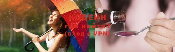 индика Баксан