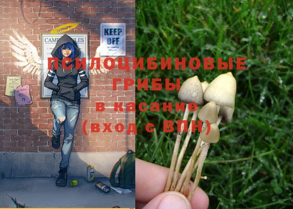индика Баксан