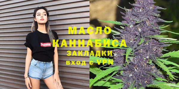 индика Баксан